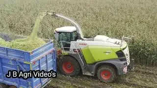 2020 Maize remix