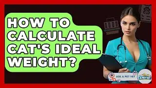 How To Calculate Cat's Ideal Weight? - Ask A Pet Vet