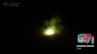 Grondbloem/ Wondertol - Busscher Vuurwerk Hengelo