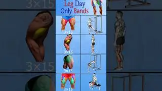 Leg Day Workout with Bands for Beginners 🔥#shorts #legs #fitness