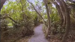 Kitekite Waterfall