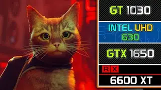 Stray || GT 1030 | Intel HD/UHD 630 | GTX 1650 | RX 6600 XT Performance Test