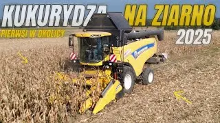 🔥KUKURYDZA NA ZIARNO 2025🇵🇱🔥PIERWSI W OKOLICY🔥NEW HOLLAND CX5080🔥