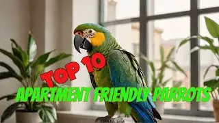 Top 10 Quiet Parrots for Apartment Living | Peaceful Feathered Friends