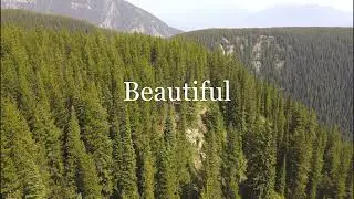 Amazing BC Nature Roadtrip Drone Footage