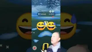 Caught a shiny Swinub off an incense!!! (Pokemon GO)