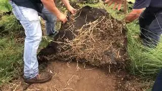 Why weed fabric is not recommended.