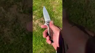 Kizer Friday Club Ray Laconico Gemini.