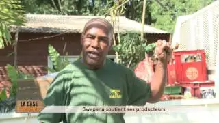 La Case Commune - Bwapanu