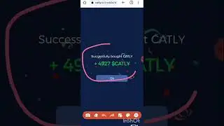 КАК КУПИТЬ ТОКЕНЫ CATLY НА ПРЕДВАРИТЕЛЬНОЙ ПРОДАЖЕ С ПОМОЩЬЮ КОШЕЛЬКА BINANCE BEP-20