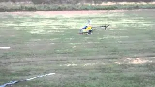 rbort flight 1000 end