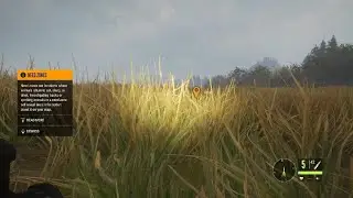 I hunted a big gold Whitetail in hunters call of the wild