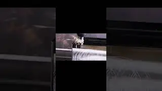 Heavy Metal Cutting with VMC Machine | CNC Machining Power #Shorts