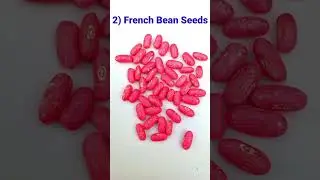 5 Vegetable Seeds Name #shorts