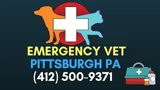 24 Hour Pet Hospital Pittsburgh PA | Emergency Vet Services Pittsburgh | (412) 500 9371
