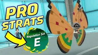 PRO Strats! Pokemon VGC Scarlet & Violet Regulation E Open Team Sheet Competitive