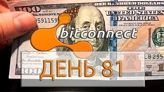 ОТЧЁТ ПО БИТКОНЕКТ ДЕНЬ 81 (BitConnect)bitconnectx ?