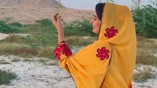 new balochi songs 2022 nasir nashad  new brahvi songs vol 21 part 7