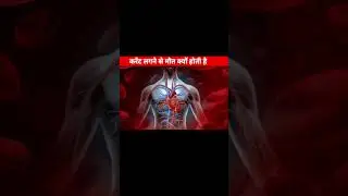 करेंट लगने से मौत क्यों हो जाती है 🤔 #shorts #trending #viral #amazingfacts #factztech #electicity