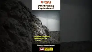 GOAT Breaking Physics Laws? 🐐 | Science Behind Steep Climbs #shorts #viral #science #physics