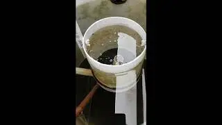 Sludge Sample Collection