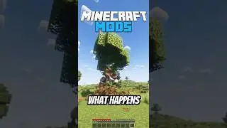 The MOST REALISTIC Minecraft Physics Mod...