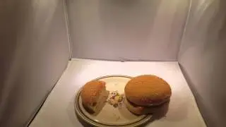 rustlers review