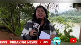 CONTAMINA&Ccedil;&Atilde;O DO RIO RIBEIRA #ilhacomprida