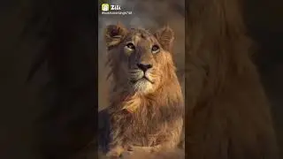 🔥🔥🔥🔥🔥