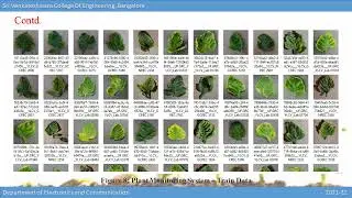 Plant Growth Monitoring system