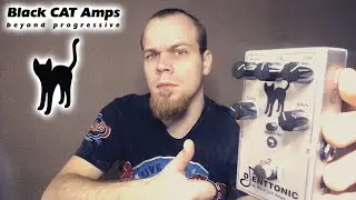 Тест педали DJENTTONIC от Black CAT Amps . Гитарная педаль для метала.