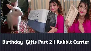 Best Carrier For Rabbits | Wood Hay Feeder | Birthday Gift Part 2 | HOW TO CARRY RABBITS