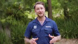 New Lawn adds luxury to garden makeover (as seen on DVine Living)