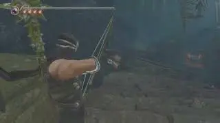 NINJA GAIDEN 2 Black_Van Gelfs are truly stupid 😂