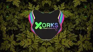Dimitri Vegas & Like Mike, David Guetta, Afro Bros - Instagram (Ryder & Seno X Make & Take Remix)