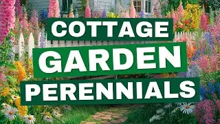 😍 Top 10 Must-Have Cottage Garden Perennials! ✨