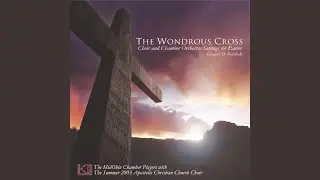 How Sweet the Sound (feat. Summer 2003 Apostolic Christian Church Choir)