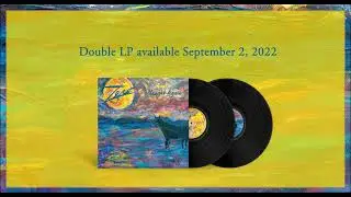 Omnivore presents Zero Naught Again LP