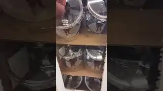 Clear Plastic Candy Jars (Dollar Tree)