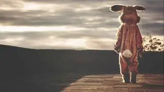Chasing Rabbits