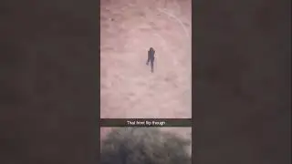 GUY TRIES TO ESCAPE FROM POLICE! 🚨😱 #PoliceChase #CaughtOnCamera #HighSpeed #shorts
