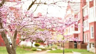 Commencement 2023 Livestream | Southern Virginia University