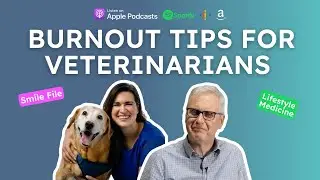 Burnt Out And Overworked? These Tips Will Help You Thrive in Veterinary Practice - Melyssa Allen