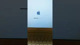 Help ...Macbook loading bar then turns off