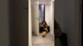 Surprising my girlfriend with a puppy! 🐾#puppysurprise&nbsp;#giftedapuppy&nbsp;#surprisereaction