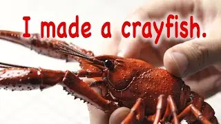 I made a crayfish model.