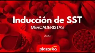 INDUCCIÓN DE SST PARA MERCADERISTAS - PLAZA VEA Y VIVANDA