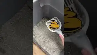 Совет ~ Поддерживайте свежий запах в туалетных лотках!