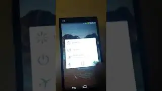 ZTE Z987