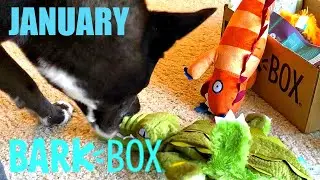 BARKBOX JANUARY 2019 UNBOXING - Extra Toy Club